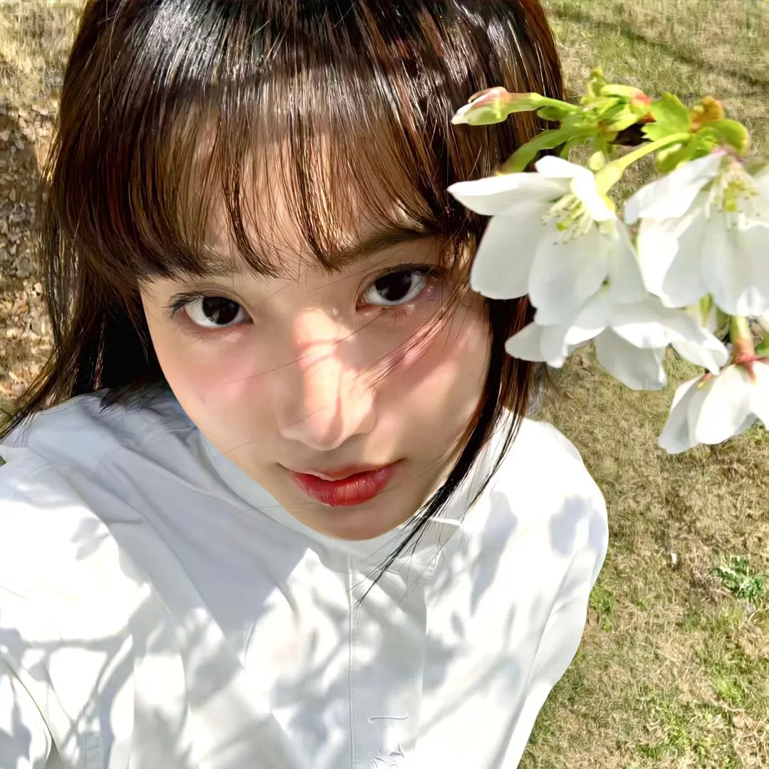 夏天协奏曲